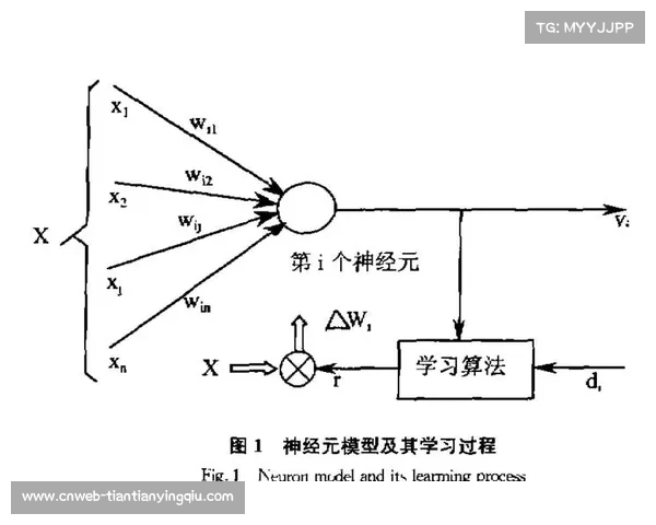 对象追踪算法持续改进，球员ID识别精度提升